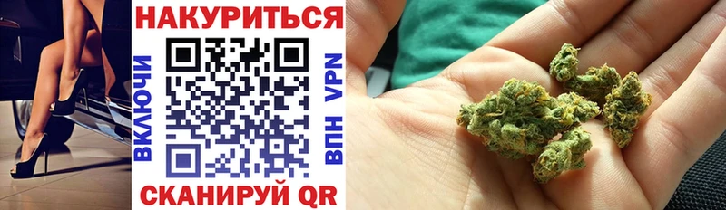 Где можно купить наркотики Приозерск Альфа ПВП  КОКАИН  Гашиш  Канабис 