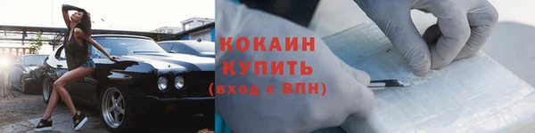 шишки Покачи