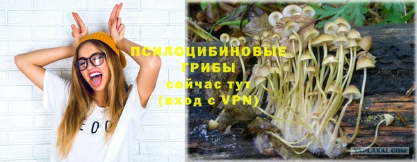 молекула духа Покров