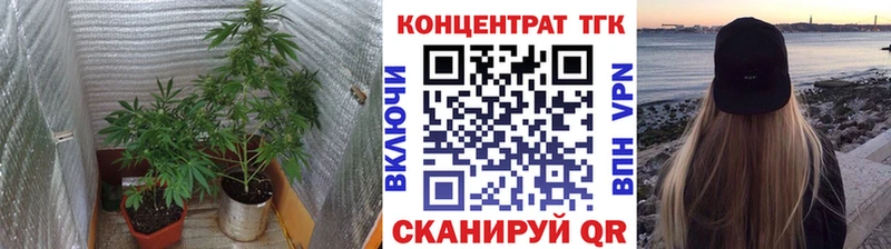 Дистиллят ТГК THC oil Приозерск